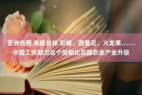 亚洲色图 美腿丝袜 彩椒、西蓝花、火龙果……中国工夫助力这个加勒比岛国农业产业升级