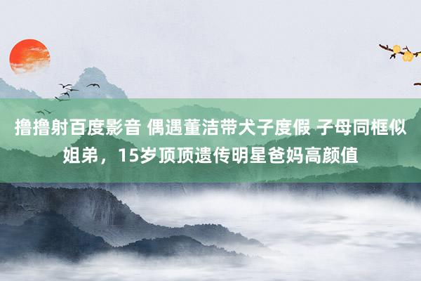 撸撸射百度影音 偶遇董洁带犬子度假 子母同框似姐弟，15岁顶顶遗传明星爸妈高颜值