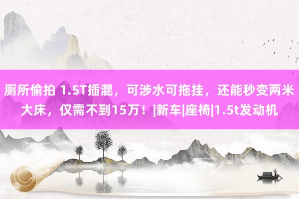 厕所偷拍 1.5T插混，可涉水可拖挂，还能秒变两米大床，仅需不到15万！|新车|座椅|1.5t发动机