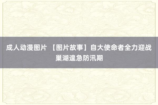 成人动漫图片 【图片故事】自大使命者全力迎战巢湖遑急防汛期