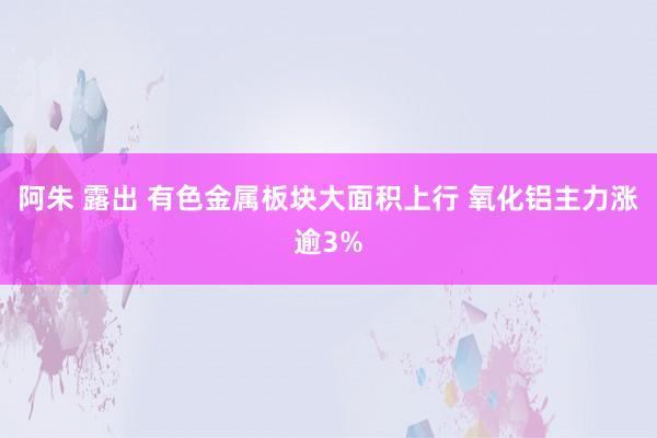 阿朱 露出 有色金属板块大面积上行 氧化铝主力涨逾3%