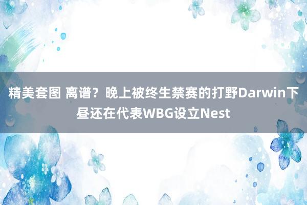 精美套图 离谱？晚上被终生禁赛的打野Darwin下昼还在代表WBG设立Nest