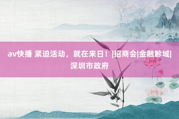 av快播 紧迫活动，就在来日！|招商会|金融畛域|深圳市政府