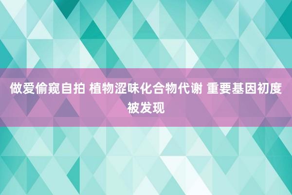 做爱偷窥自拍 植物涩味化合物代谢 重要基因初度被发现