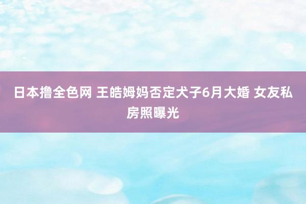 日本撸全色网 王皓姆妈否定犬子6月大婚 女友私房照曝光