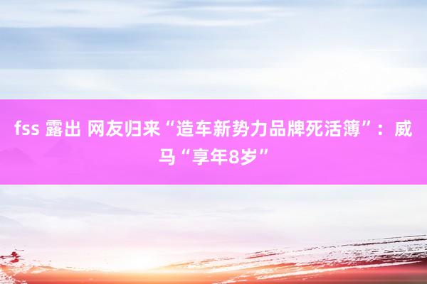 fss 露出 网友归来“造车新势力品牌死活簿”：威马“享年8岁”