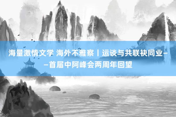 海量激情文学 海外不雅察丨运谈与共　联袂同业——首届中阿峰会两周年回望